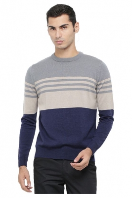 Men Round Neck Stripe Sweater