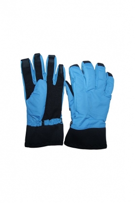 Adult Basic Touch Screen Ski Gloves